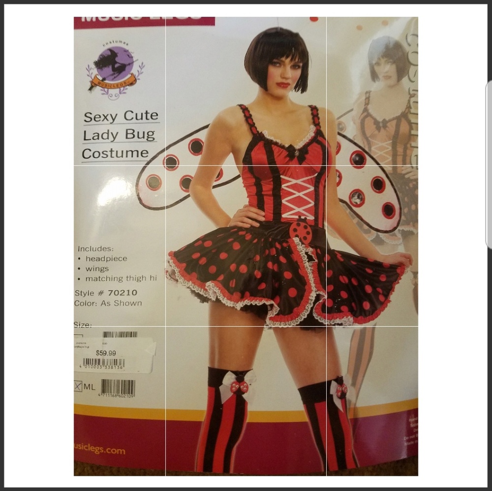 Sexy Lady Bug Costume medium/ large